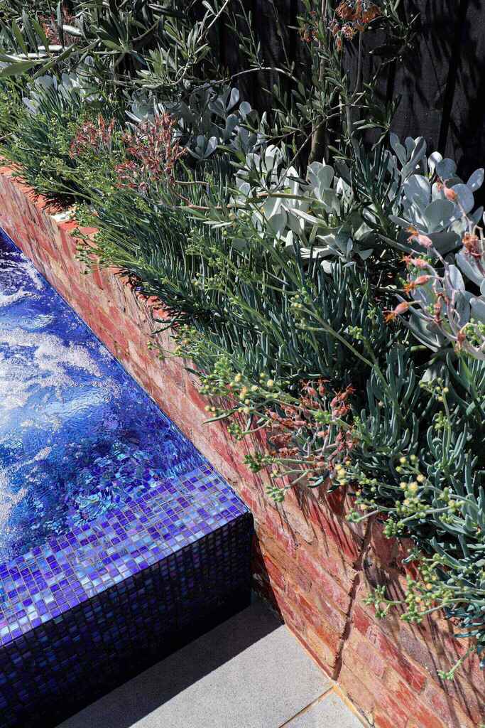 Greensborough infinity pool installed