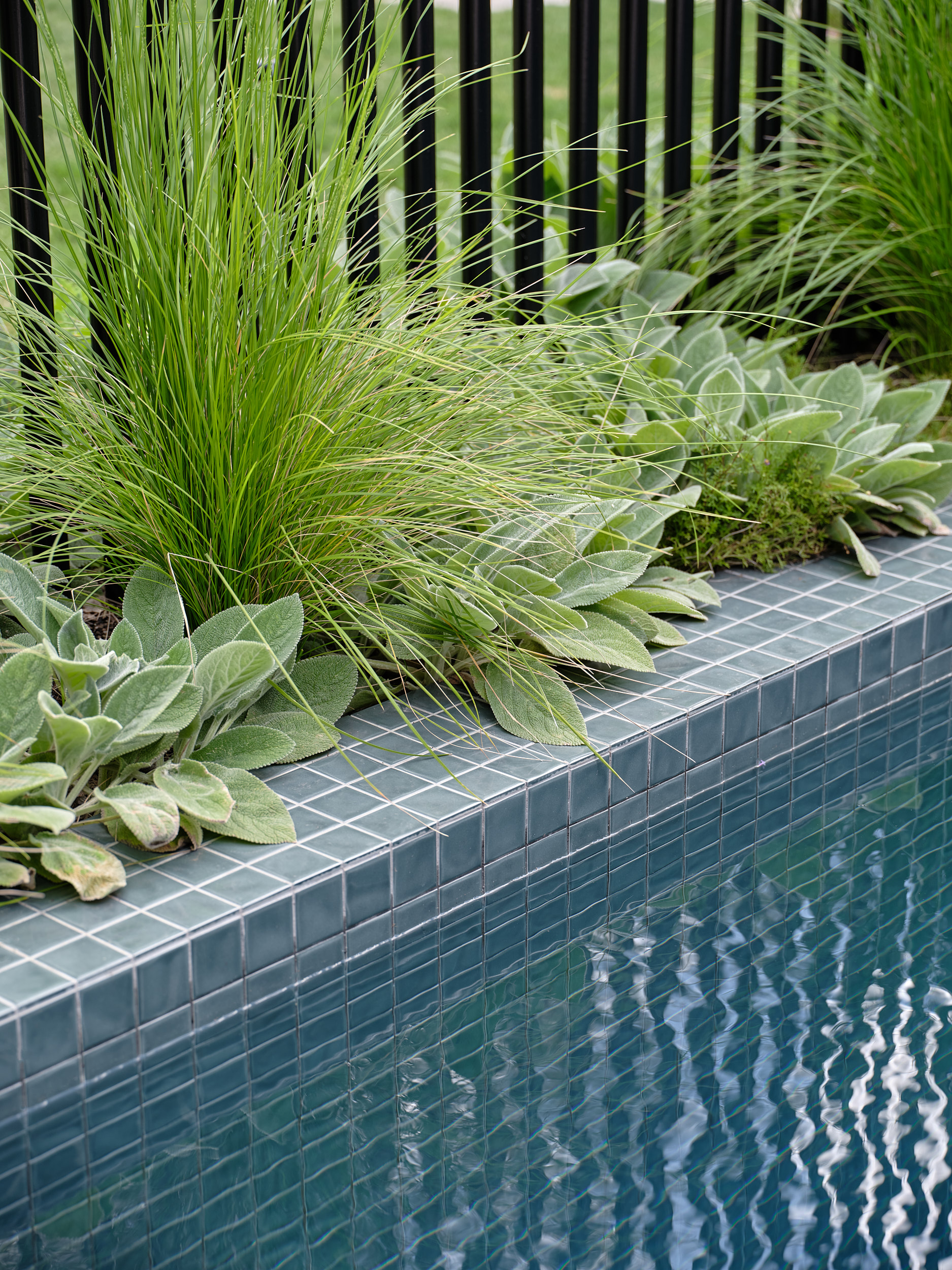 BARBRUNSWICKEAST_©ERIKHOLT_018