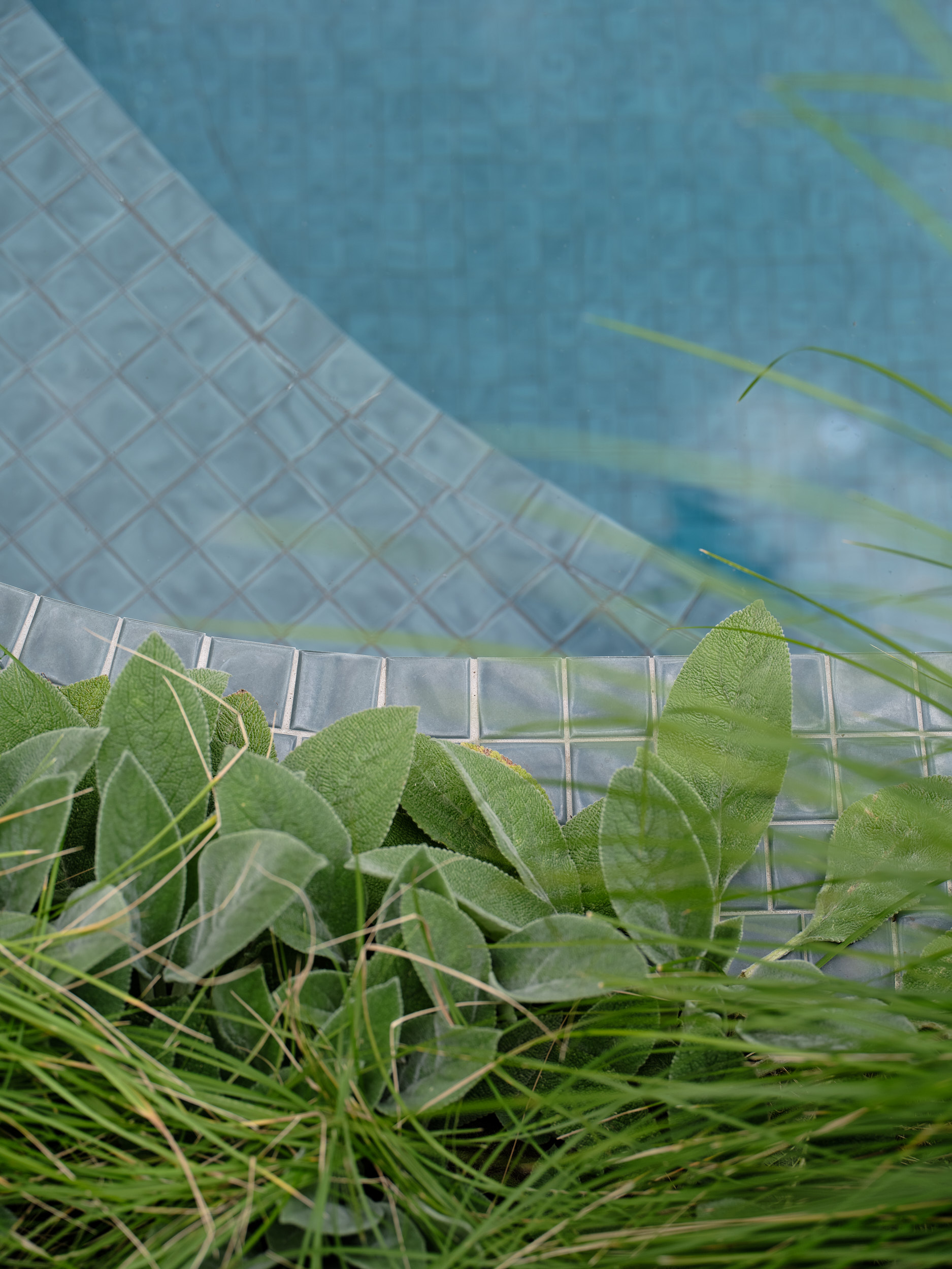 BARBRUNSWICKEAST_©ERIKHOLT_087 (1)