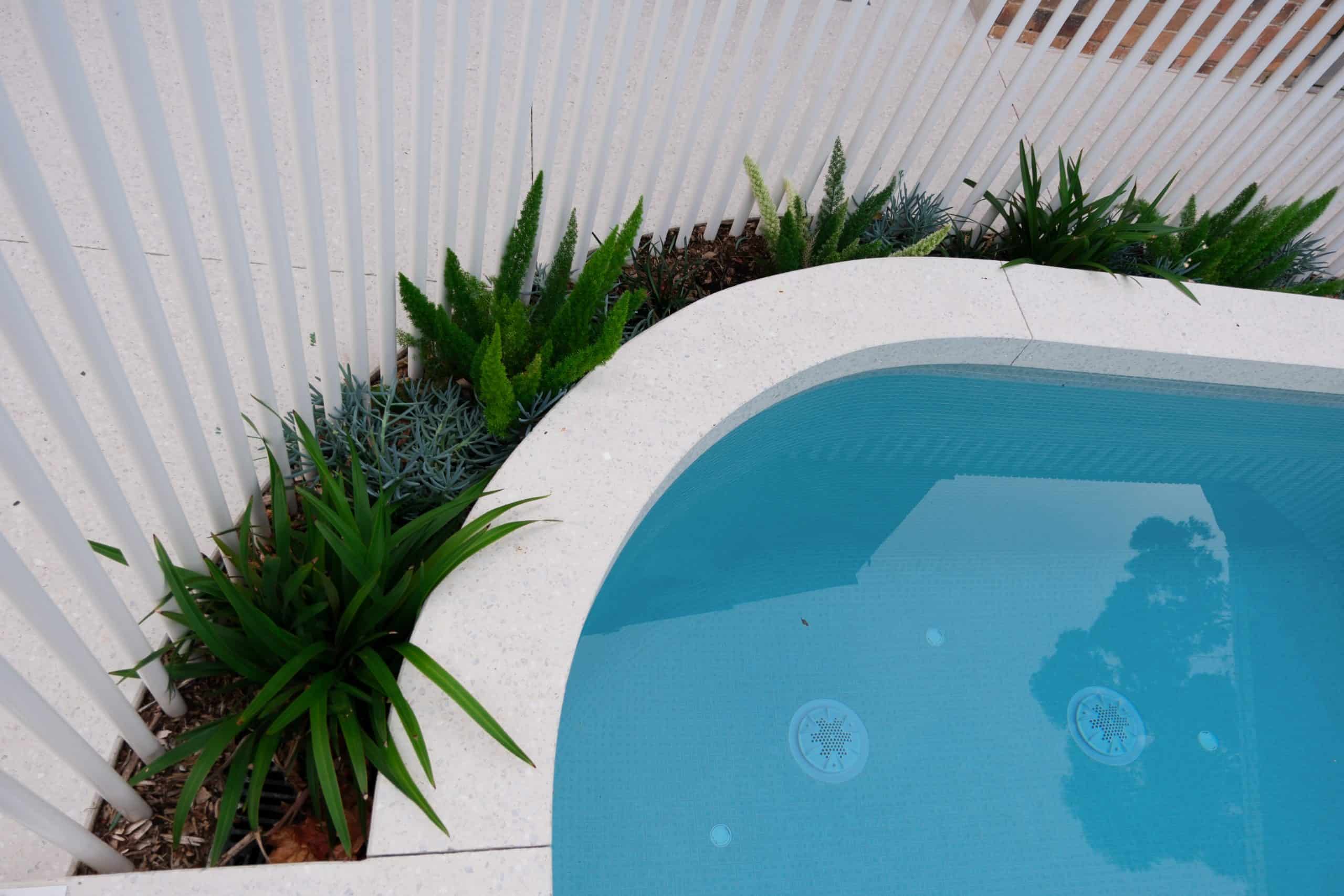 Award-Winning Pool Build in Lower Plenty
